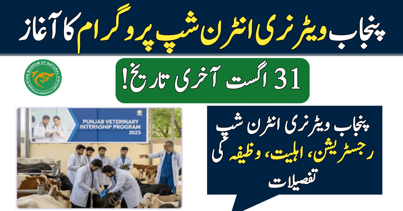 Punjab Veterinary Internship Program