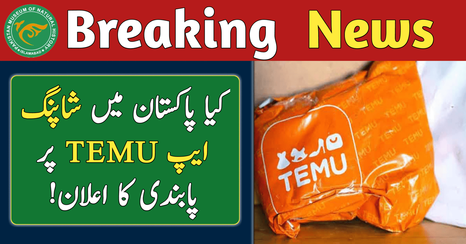 Shopping App Temu in Pakistan