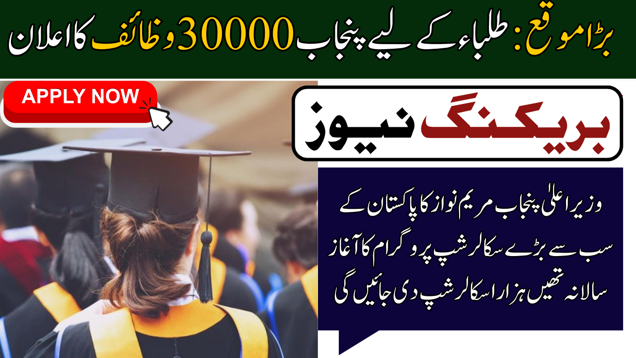 Punjab 30000 Scholarships