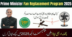 Prime Minister Fan Replacement Program