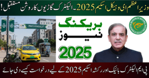 PM Electric Bike and Rikshaw Scheme