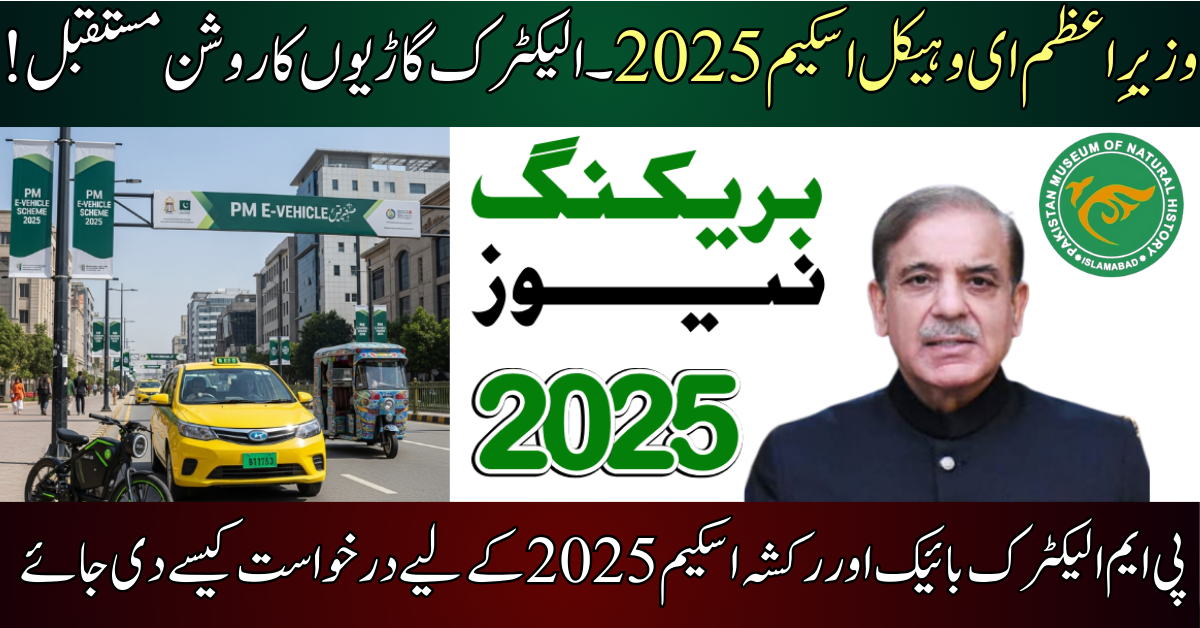 PM Electric Bike and Rikshaw Scheme